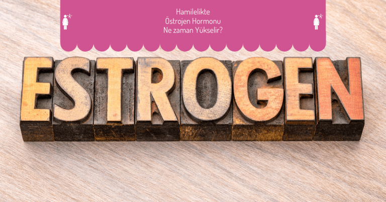 Hamilelikte Östrojen Hormonu Ne zaman Yükselir?