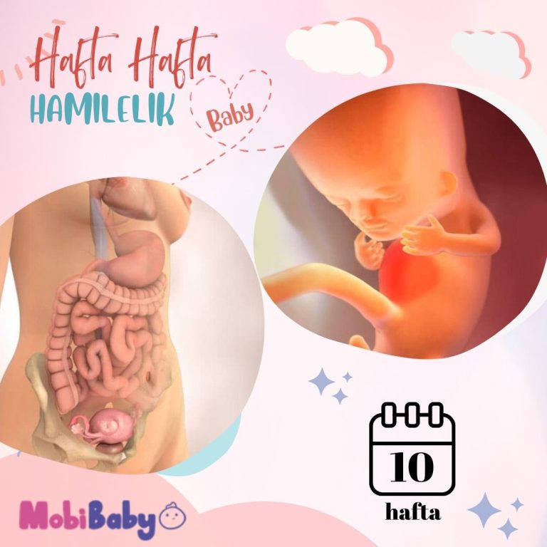 10 Haftalık Hamilelik