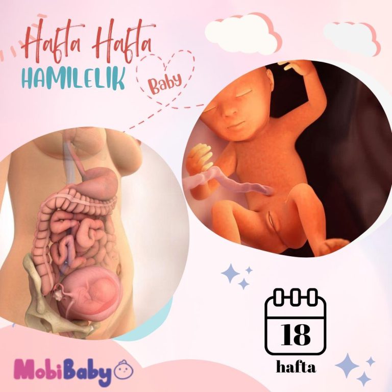 18 Haftalık Hamilelik