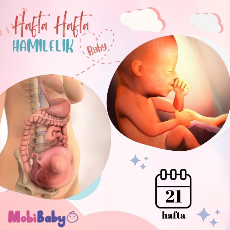 21 Haftalık Hamilelik