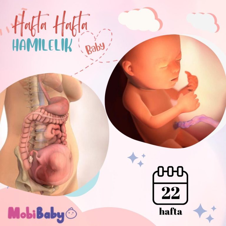 22 Haftalık Hamilelik