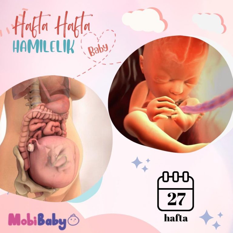 27 Haftalık Hamilelik