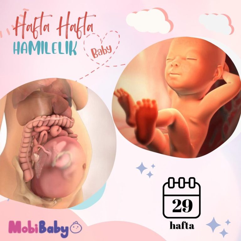 29 Haftalık Hamilelik