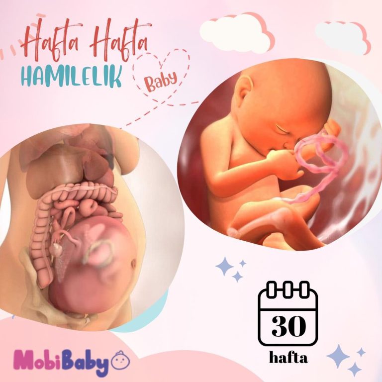 30 Haftalık Hamilelik