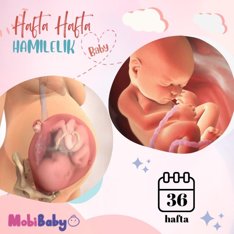 36 Haftalık Hamilelik