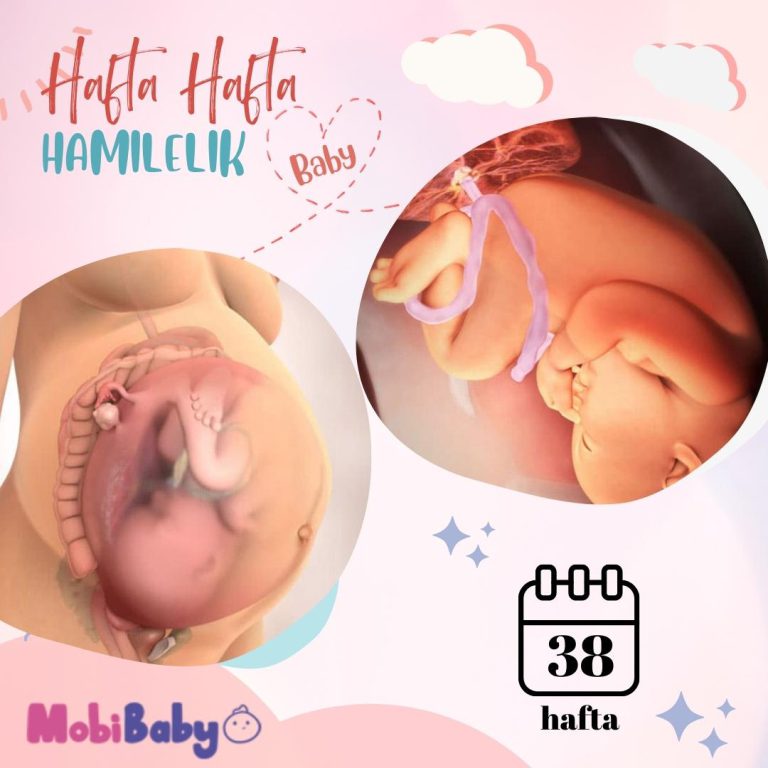 38 Haftalık Hamilelik