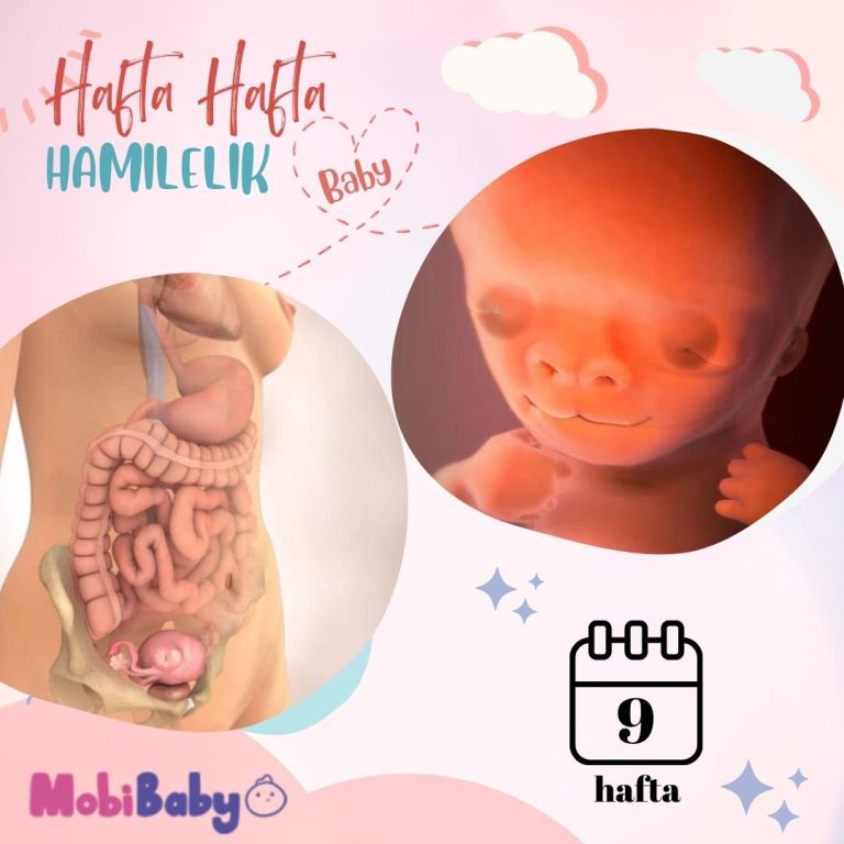 9 Haftalık Hamilelik