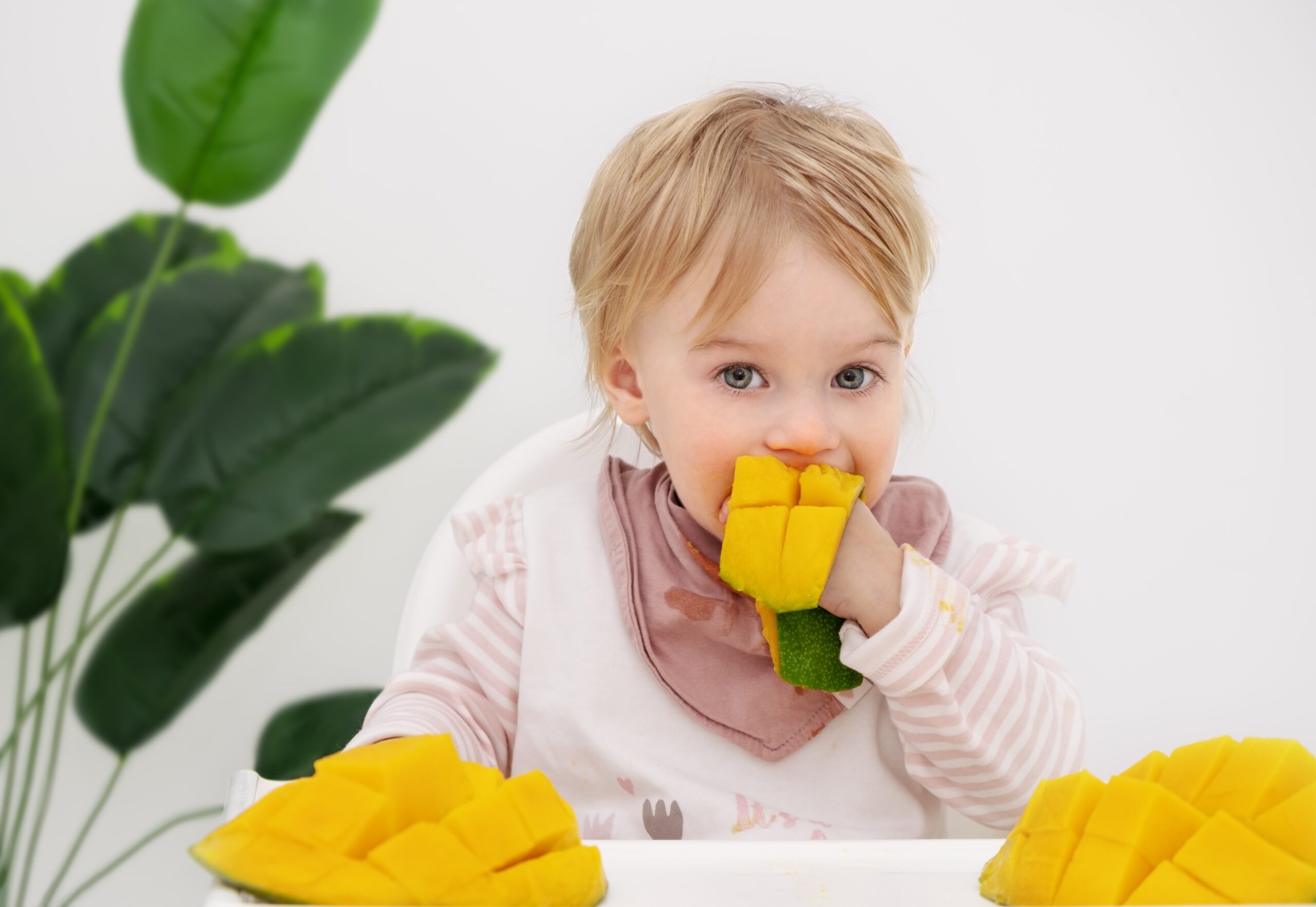 baby eating mango 2022 10 31 03 22 39 utc 1 scaled