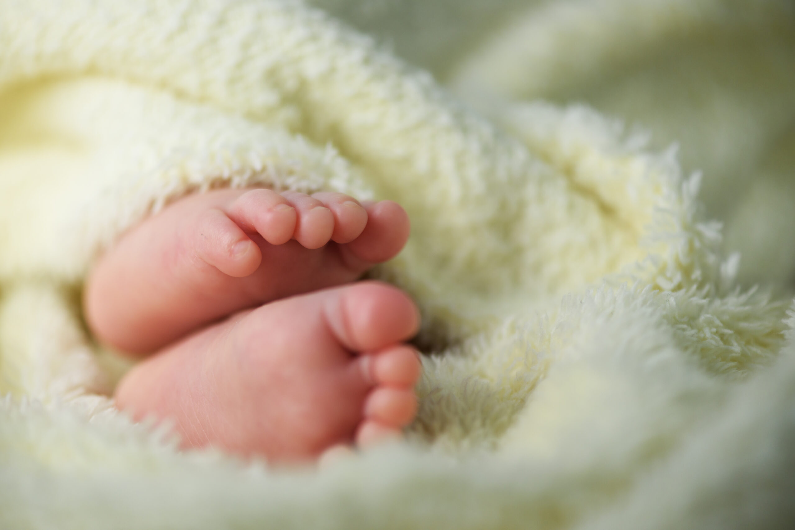 newborn baby feet in a fluffy blanket 2021 08 26 17 02 10 utc scaled